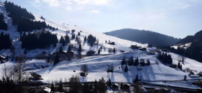 Le Cocon de la Combe des juments 2-3pers by LocationlacAnnecy, LLA Selections